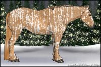 Horse Color:Gray White Spotted Black  Brindle