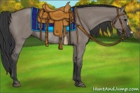 Horse Color:Grullo Rabicano 