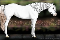 Horse Color:White Spotted Black Pearl Frame Appaloosa Rabicano 