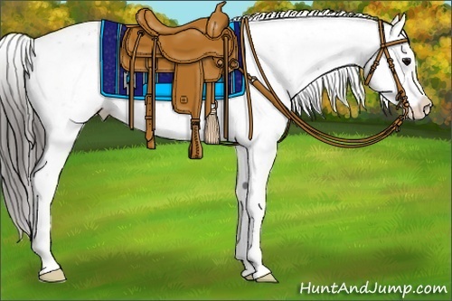 Horse Color:Smoky Black Appaloosa 