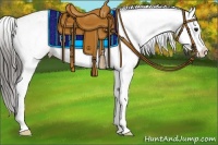 Horse Color:Smoky Black Appaloosa 