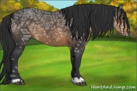 Horse Color:Brown Ice 