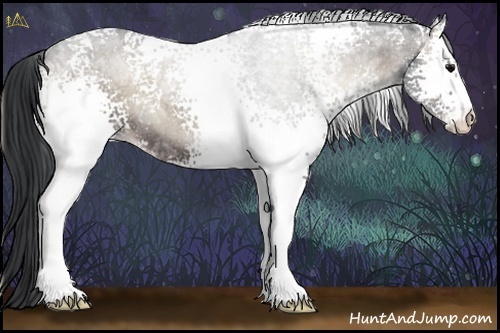 Horse Color:White Spotted Blue Onyx Ice Roan