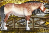 Horse Color:White Spotted Bay Ice Onyx Sabino
