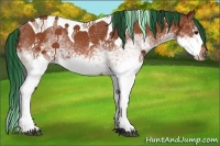 Horse Color:Painted White Spotted Bay Splash Tobiano