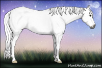Horse Color:Gray Bay Frame