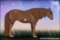 Horse Color:Chestnut Frame
