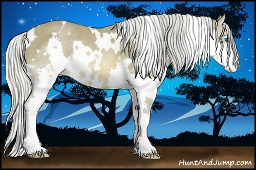 Horse Color:White Spotted Silver Buckskin Splash Rabicano 