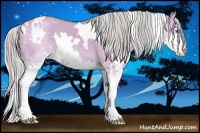 Horse Color:Watercolor White Spotted Silver Grullo Sabino Splash 