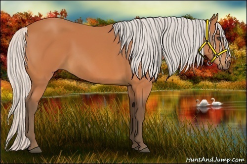 Horse Color:Silver Bay 