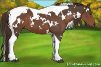 Horse Color:White Spotted Liver Chestnut Tobiano 