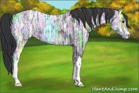 Horse Color:Black Ice 
