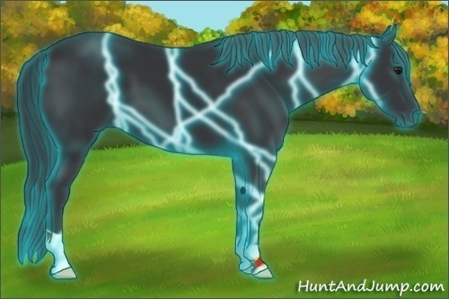 Horse Color:Thunderstruck Black Chinchilla