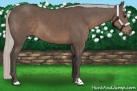 Horse Color:Silver Black 