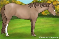 Horse Color:Black Pearl 