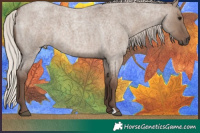 Horse Color:Silver Grullo Roan 