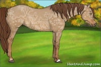Horse Color:Red Dun Ice 