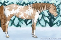 Horse Color:White Spotted Chestnut Ice Pearl