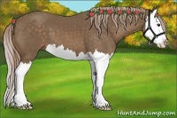 Horse Color:Chocolate Palomino Splash 