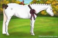 Horse Color:Gold Champagne Splash Tobiano Frame Appaloosa Rabicano