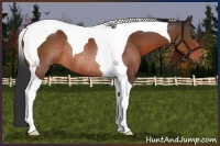 Horse Color:Bay Tobiano Rabicano
