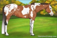 Horse Color:Bay Splash Tobiano Blanket  and Bay Splash Tobiano Snowcap 