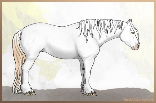 Horse Color:Gold Champagne Varnish