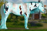 Horse Color:Thunderstruck White Spotted Red Onyx Varnish 