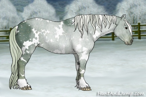 Horse Color:Watercolor White Spotted Silver Black 