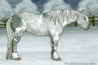 Horse Color:Watercolor White Spotted Silver Black