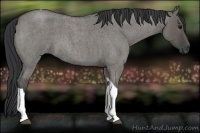 Horse Color:Grullo Roan Tobiano 
