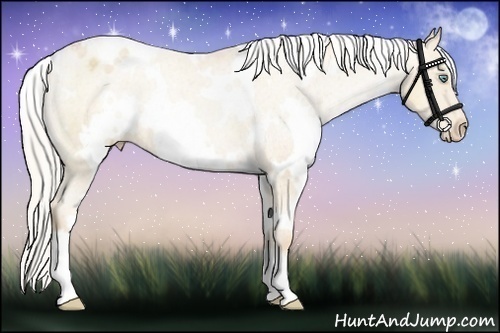 Horse Color:White Spotted Silver Classic Champagne Pearl Appaloosa 