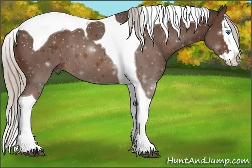 Horse Color:Silver Brown Splash Tobiano 