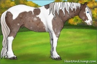 Horse Color:Silver Brown Splash Tobiano 