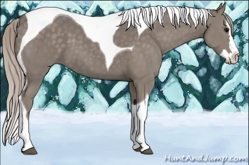 Horse Color:Silver Black Splash Tobiano 
