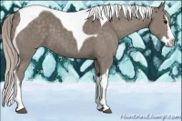 Horse Color:Silver Black Splash Tobiano 