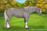 Horse Color:Silver Blue Roan