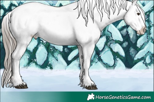 Horse Color:White Spotted Liver Chestnut Sabino Appaloosa 