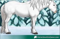 Horse Color:White Spotted Liver Chestnut Sabino Varnish 