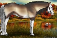 Horse Color:Liver Red Onyx Splash 