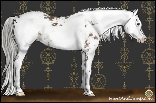 Horse Color:Chocolate Palomino Sabino 