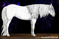 Horse Color:Palomino Ice Roan Pearl Near Leopard Rabicano 