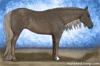 Horse Color:Chocolate Palomino 