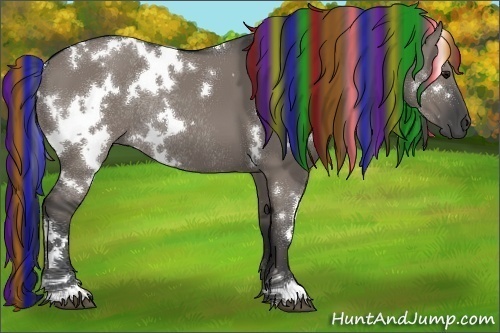 Horse Color:Painted White Spotted Grullo Rabicano
