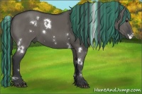 Horse Color:Painted White Spotted Grullo Rabicano 