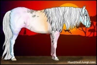 Horse Color:Watercolor Silver Bay Sabino 