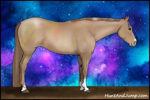 Horse Color:Black Pearl Sabino Rabicano 