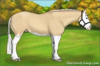 Horse Color:Silver Sable Champagne Dun Splash