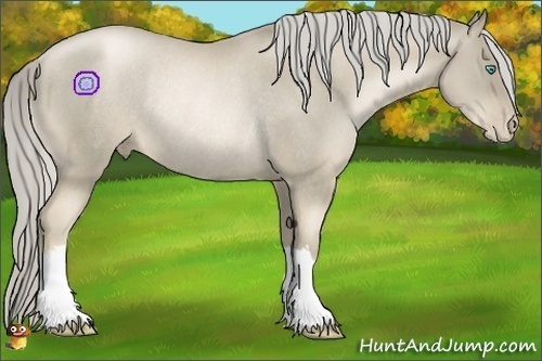 Horse Color:Chocolate Palomino Pearl Rabicano 