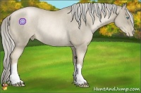 Horse Color:Chocolate Palomino Pearl Rabicano 